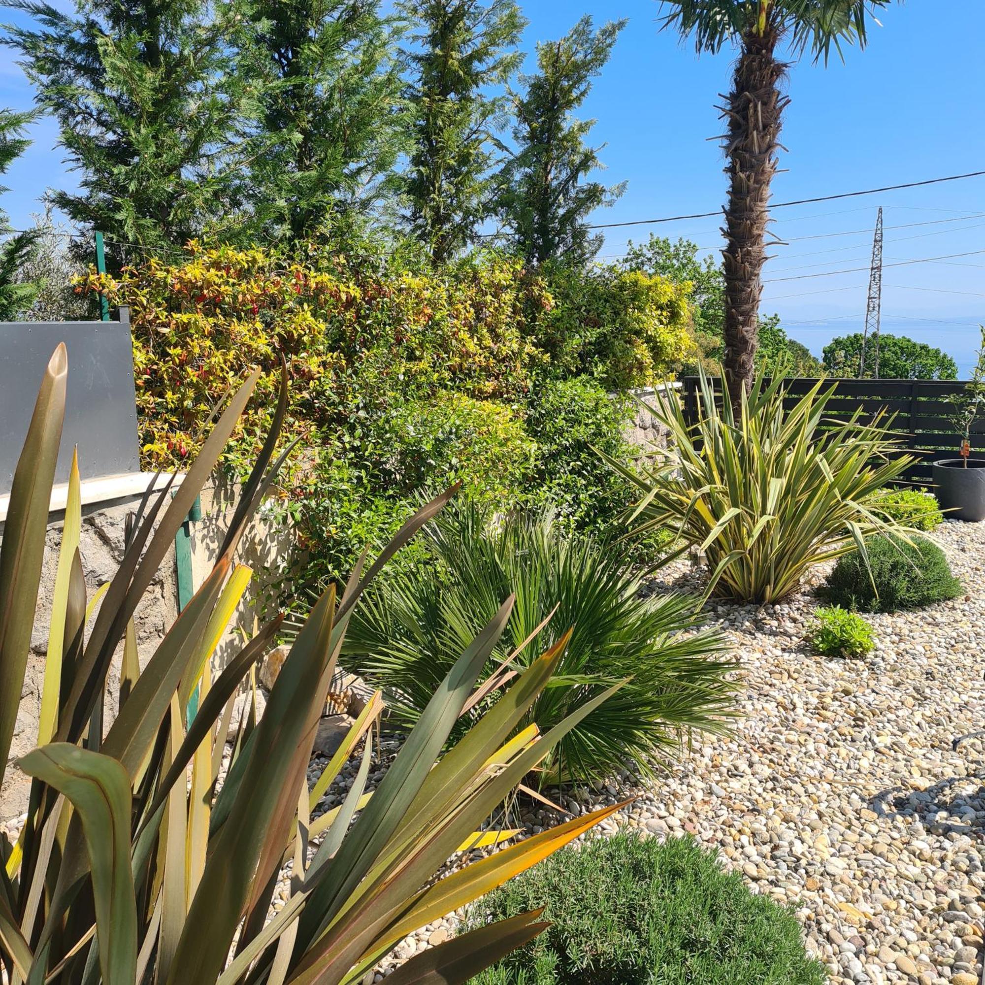 Villa Adriatic, Apartment Enio With Swimming Pool, Panoramic Sew View, Free Parking Ičići エクステリア 写真